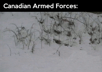Funny picture of the Canadian Armed Forces