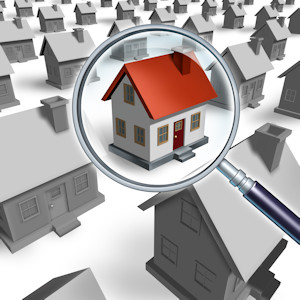 Active support for your real estate purchase
