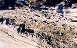 Miniature canyons - carved rocks in Nanaimo