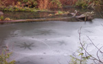 UFO ice circles, Nanaimo, BC, Westwood Lake
