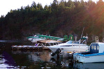Amigo Airways  in the early morning, Nanaimo