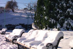 Nanaimo - Seagull on the snow covered benches Muffeo Sutton park